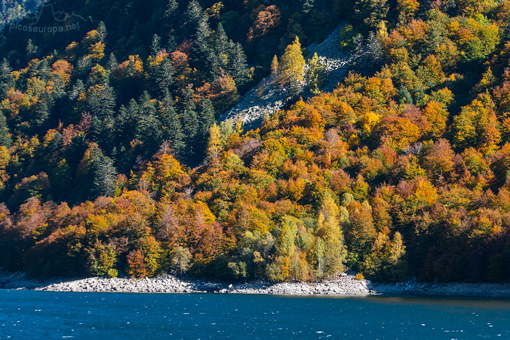 Los bosques que rodean al embalse de Baserca (río Noguera Ribagorzana), muy próximo a la boca Sur del Tunel de Vielha, justo en la confuencia con el inicio del Valle de Salenques.